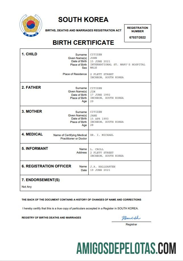 Em branco modelo Word e PDF de certidão de nascimento da Coreia do Sul